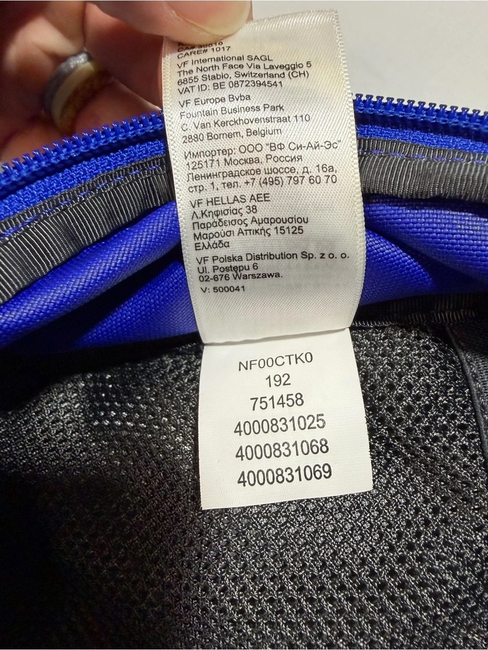 The North Face Kids Royal Blue Sprout Backpack